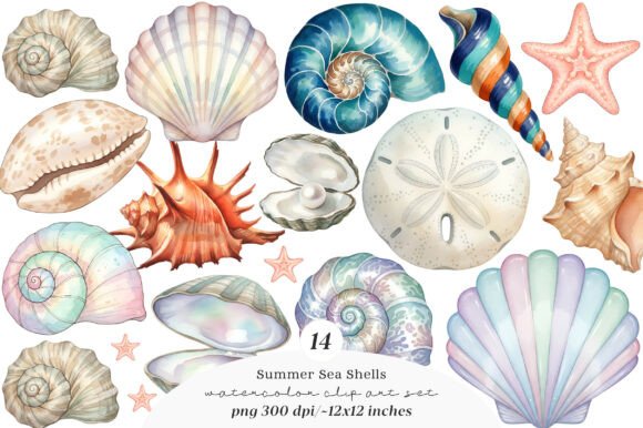 Unlocking Creativity with the Sea Shells Clipart Bundle: A Versatile Resource for Digital and Print Projects