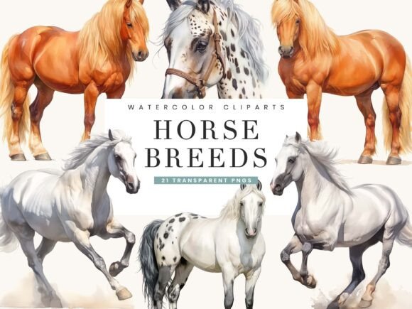 Watercolor Horse Breeds Clipart for Creative Projects